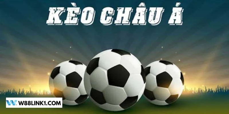 Hiểu rõ 3 loại kèo là kiến thức cơ bản trong cách đọc kèo nhà cái.