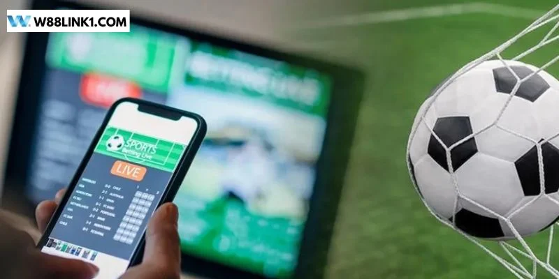 Kèo Chấp 2.5 Trái Là Gì? Công Thức Soi Kèo Chuẩn Mực